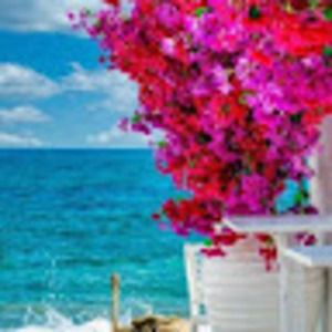 Meet your Posher, Ada